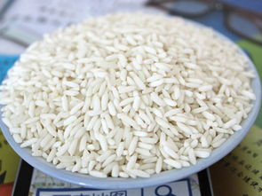 卓越之选 全家福膳食餐饮管理，肇庆食堂承包领域的领航者